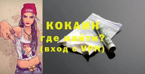 стаф Вяземский