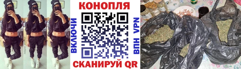 купить   Тосно  МАРИХУАНА SATIVA & INDICA 